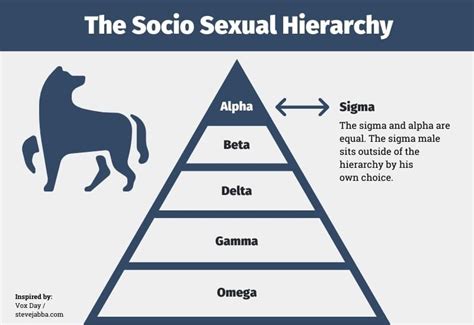 alpha beta sigma male chart.